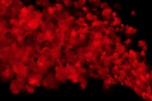 Animated Fire Series