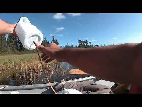 Doug's DIY Moose Call