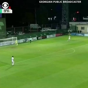 Dog dashes on the field during professional soccer game