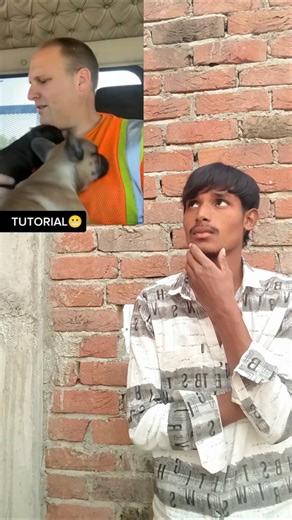 Tutorial Bulldog bundle filter 😯👿 #dog #filter #trend #viral #shorts