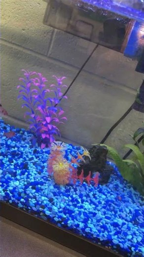 How bright can this light GO?