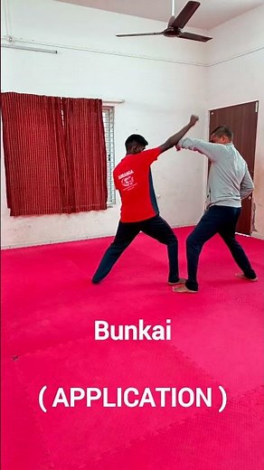 Karate Kata Bunkai – Heian Shodan’s Best Techniques. #shotokan #karate #kata #bunkai #application