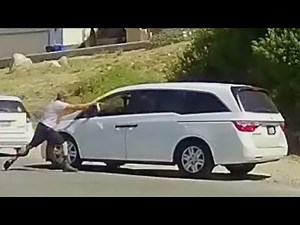 Man attacks driver with bear spray