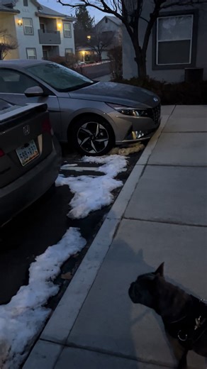 Caught on Camera: The Drunk Driver Incident