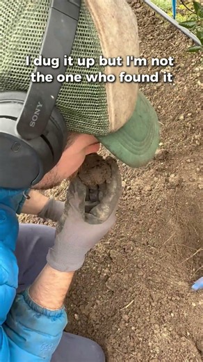 The Real Truffle Hunter Isn't Me (Watch the Reveal)