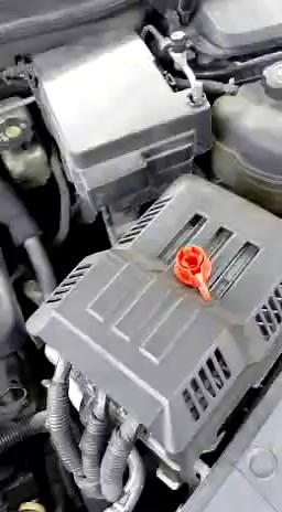 West Tennessee Auction Barn on Reels