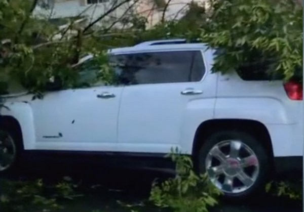 Canada Hailstorm Slams Calgary by Smashing Cars and Toppling Trees