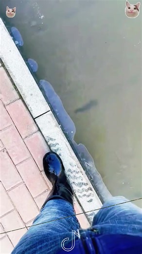 #capcut #capcutpioneer #hashtags #reddit | capcut edit