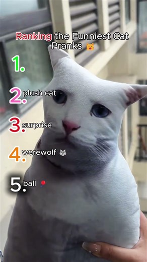 Ranking the Funniest Cat Pranks 🐱 #catpranks #funnycats #catfails #animalranking #shorts