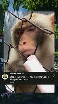 🤣 Epic Meme Meltdown: I Remixed Hilarious Fails & Savage Comments into an INSANE BANGER Song! 🎵😜