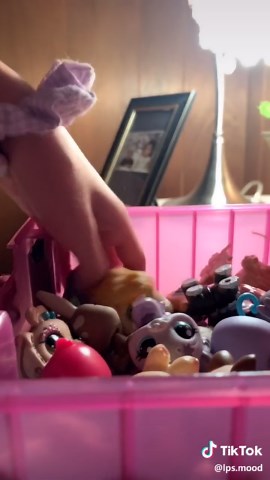 Stay tuned 😊! #foryoupage #famous #viral #lps #challenge