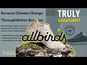 Allbirds Sustainability: Are They Just Telling Their Favorite Parts of the Story?