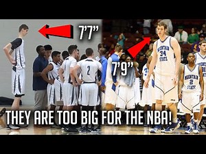 5 Basketball Players Who Are TOO BIG For The NBA!