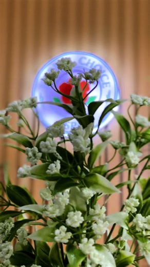 Herbal Choice Spa: Relaxation and Wellness Services