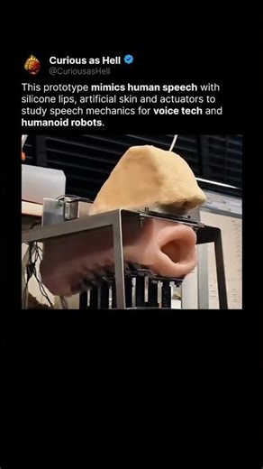 This Robot Actually Speaks! 🗣️