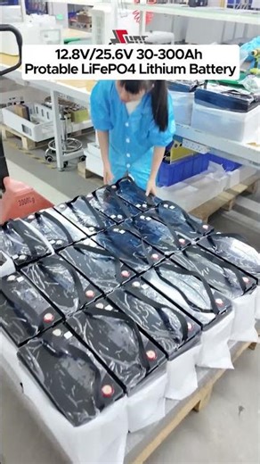 SUNC LiFePO4 Battery: 12.8V/25.6V portable lithium battery optional bluetooth#solarbattery #lifepo4