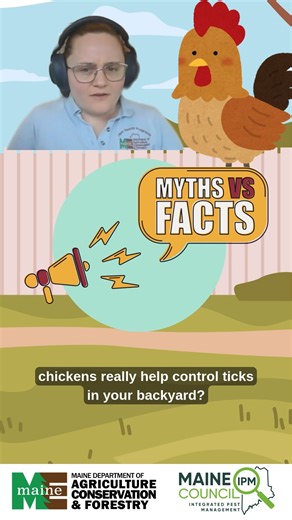 🐔 Pest Myth or Fact? Can chickens really help control ticks in your backyard? It’s a common belief, but what does the science actually say? In this short video, IPM Specialist Hillary Peterson breaks down the research and explains why chickens may not be a reliable method for managing ticks in most backyard settings. Early studies, including Sahito et al. 1991 (Predation on Livestock Ticks by Chickens) and Duffy et al. 1992 (The Effectiveness of Helmeted Guineafowl in the Control of the Deer Ti