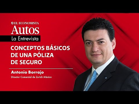 Basics of an insurance policy