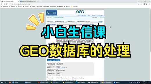 一个视频教会你GEO数据库的处理！
