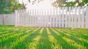 Rays Setting Sun Evening Make Their Stock Footage Video (100% Royalty-free) 1098783389 | Shutterstock