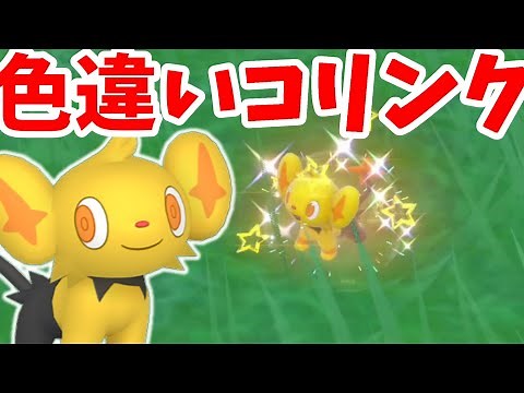 【ポケモンSV】コリンクの色違いは何匹出る！？色違いを入手しやすい限定イベント！【ポケモンスカーレットバイオレット・ゼロの秘宝】