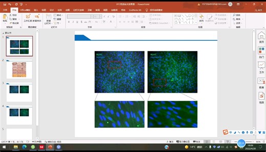如何用PPT完成免疫荧光/组化图片局部放大？