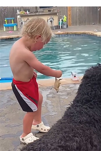 Hilarious Moments with Funny Kids in the USA