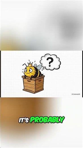 Single Beehive Myth Busted Queen Space Explained!
