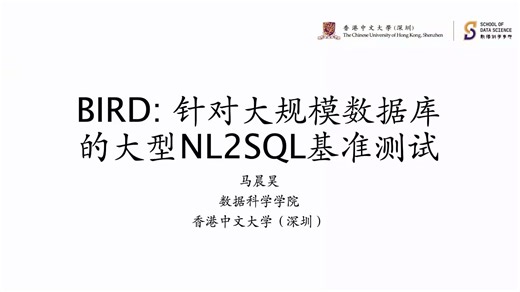 【香港中文大学（深圳） 马晨昊】BIRD：针对大规模数据库的大型NL2SQL基准测试