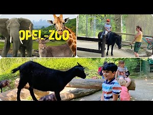Zoo Kronberg - OPEL-ZOO. The Best Zoo in Germany