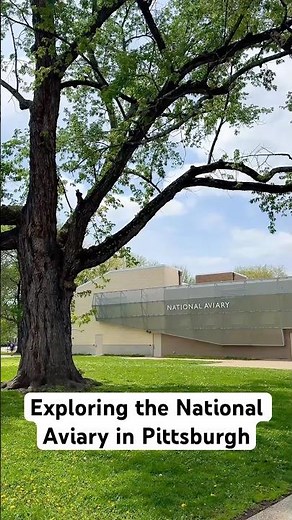 National Aviary Tour | Unique Things to Do in Pittsburgh
