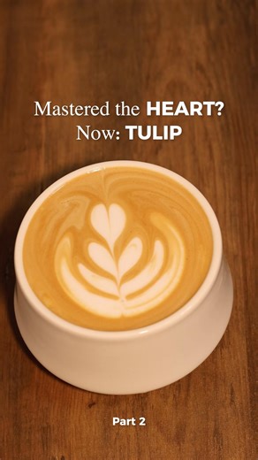 Part 2: Mastered the heart? Now: Tulip