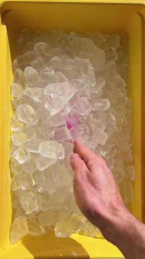 Delicious Flavored Toothpaste with Airless Pump | HiSmile Toothpaste Review