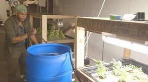 Donate to Aquaponic Farm Build in Brooklyn: Grow Brownsville, organized by Brittany Markowitz