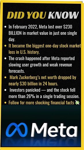 Meta Lost $230 Billion in ONE Day