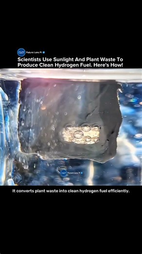 Scientists Turn Plant Waste Into Clean Hydrogen Using Sunlight Alone #hydrogen #fuel #sunlight