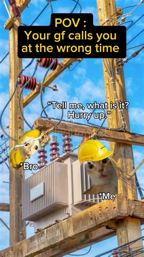 POV: Calling your BF while he’s busy ⚡😂#catmeme #shorts