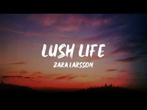 Lush Life - Zara Larsson (full lyrics)