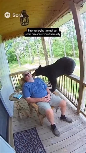 Just picture this: he’s peacefully napping on the porch… and suddenly, a bear decides to lick his face! 🐻😳💤 I mean… what do you even do in that situation?! Laugh? Scream? Freeze? 💥 Comment below—what would YOU do if a bear woke you up like this?! 👇 #BearEncounter #PorchNapGoneWild #WildlifeCloseUp #EpicStory #ViralMoments | Getting Closer Everyday