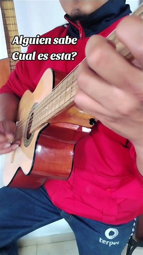 Una de Darío Gómez Pero no se como se llama #guitarra #requinto