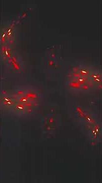 I Tested the BEST Mini Laptops in 2025 for Big Billion Days