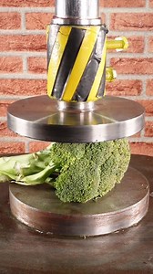 1.2M views · 4.6K reactions | We will destroy everything we get our hands on #hydraulicpress #fyp #satisfying | Hydraulic Press Experiments | Facebook