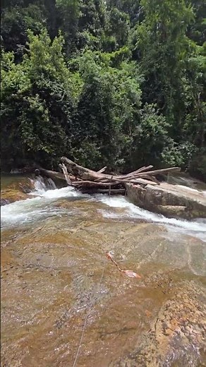 Debengeni Falls in Full Flow | Limpopo After the Rains