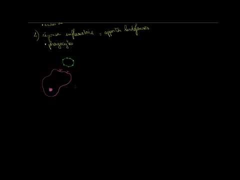 Role of phagocytes in the innate or non-specific immune response