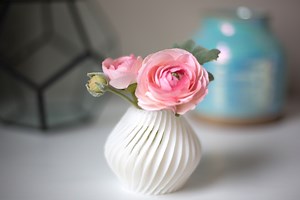 Silhouette Alta – 3D Drucker für Zuhause! Leichter Einstieg