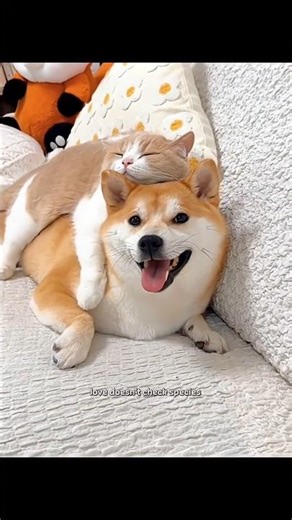 unbreakable bond part 2 #shorts