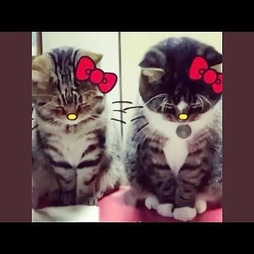 4 Gold Chains (feat. LONERSCREEK)