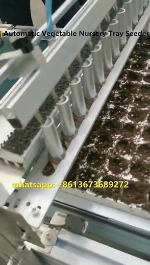 High Efficiency Vegetable Nursery Tray Seeder - Fully Automatic Nursery Seeding Machine from Taizy