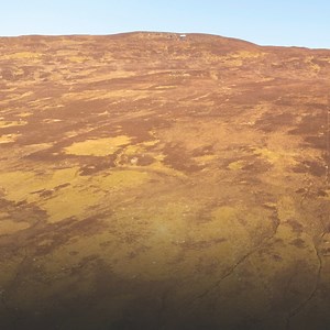 56K views · 846 reactions | The Scottish Parliament voted yesterday...