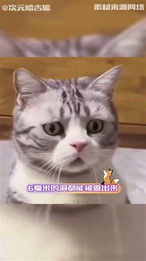 海底撈簡直是火鍋界的學術型保潔#海底撈 #火鍋 #衛生 #堪比學術研究的食安標準 #海底撈火鍋
